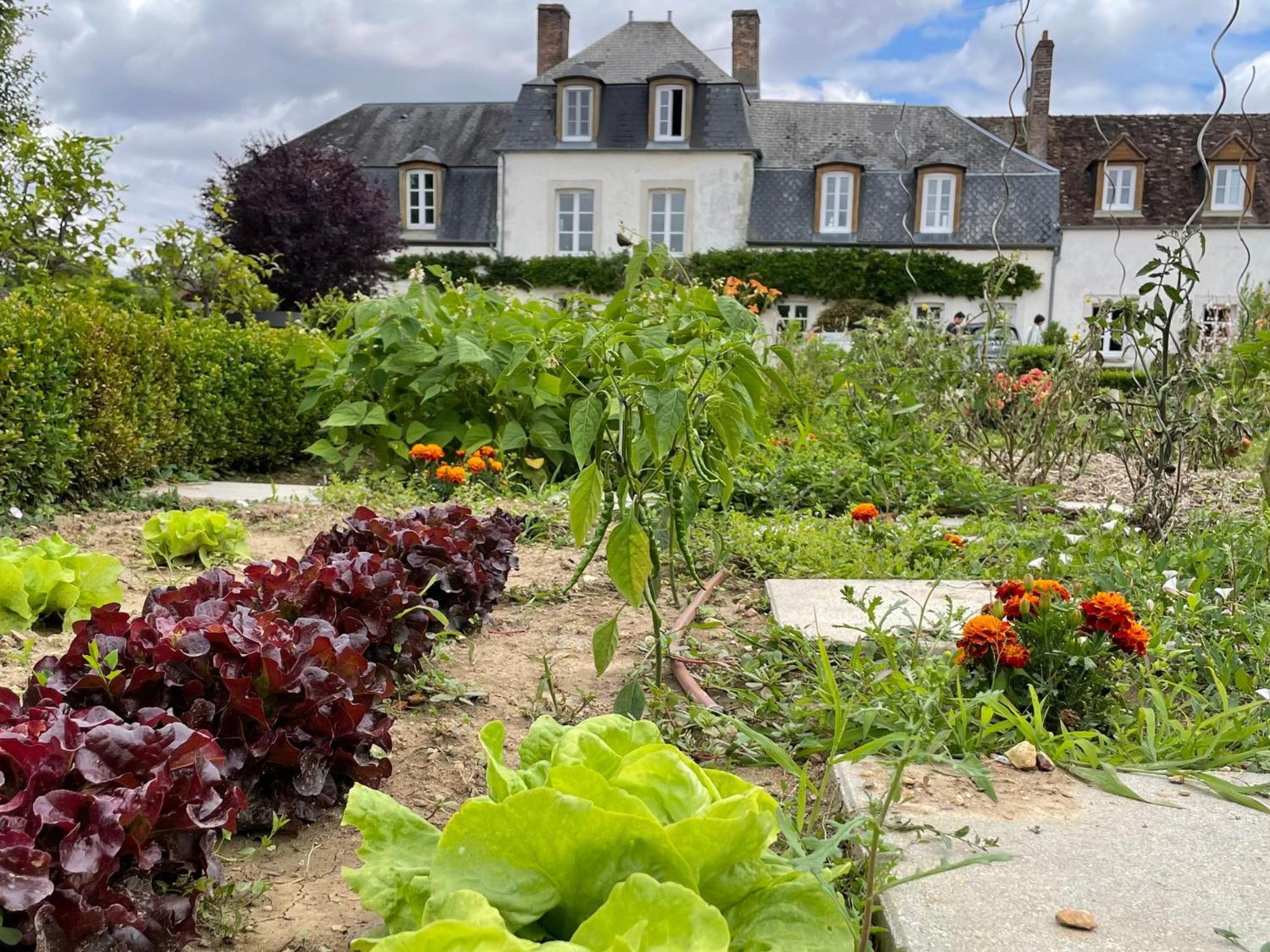 **Suite Familiale Spacieuse Au Coeur De La Foret De Montargis** - Fr-1-590-335 Paucourt 외부 사진